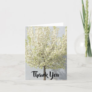 White Spring Blossoms Filled Tree Thank You Card