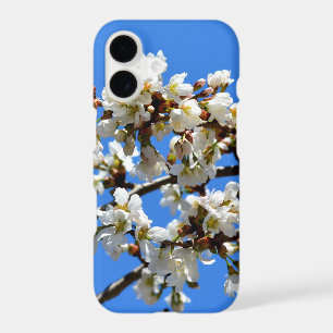 White Spring blossoms white flowing tree