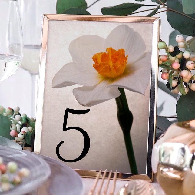 White Spring Daffodil Flower Table Numbers (Creator Uploaded)