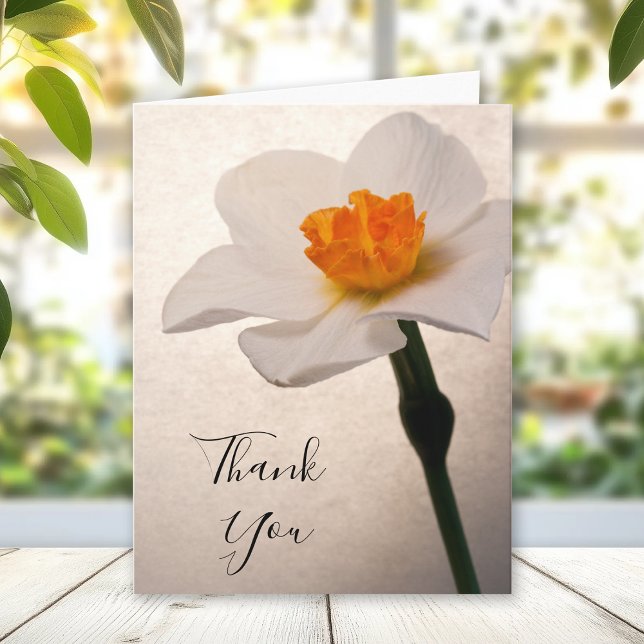 White Spring Daffodil Thank You Note Card (Creator Uploaded)