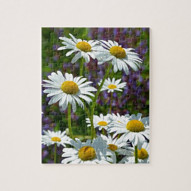 White spring daisies in bloom jigsaw puzzle (Vertical)