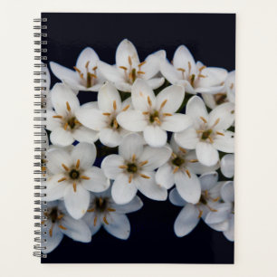 White Spring Flowers 2024 Planner