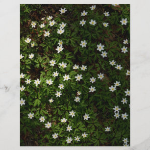 White spring flowers in woodland Scrapbook Paper