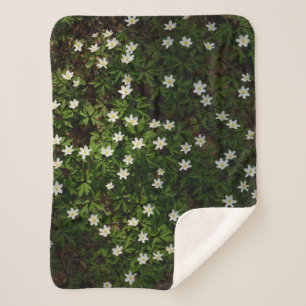White spring flowers in woodland sherpa blanket