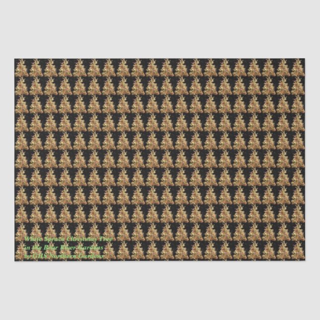 White Spruce Christmas Tree Tissue Paper (Front)