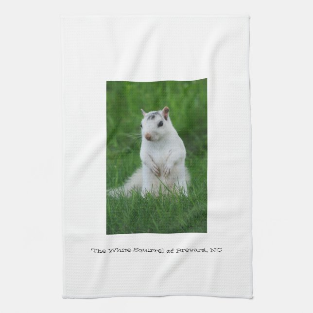 White Squirrel of Brevard Tea Towel (Vertical)