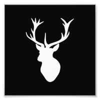 White Stag Head
