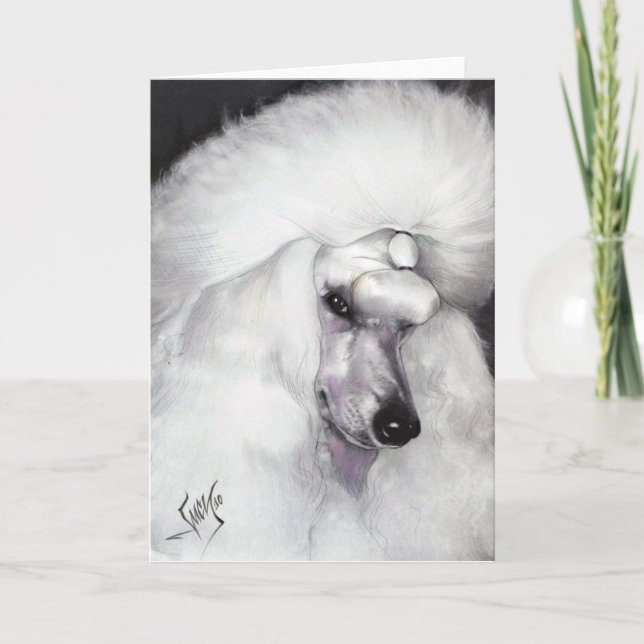 White Standard Poodle 1 23 10 Card (Front)