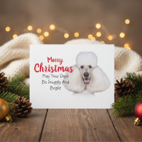 White Standard Poodle Christmas Card