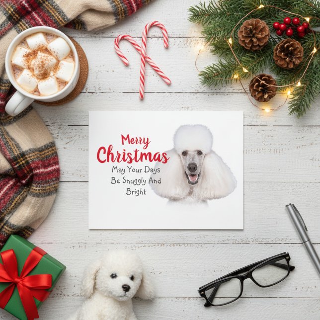 White Standard Poodle Christmas Card (White Standard Poodle Christmas Card)