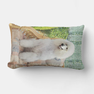 White Standard Poodle Lumbar Cushion