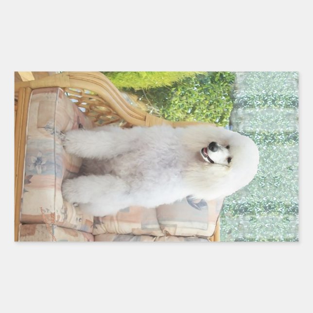 White Standard Poodle Rectangular Sticker (Front)