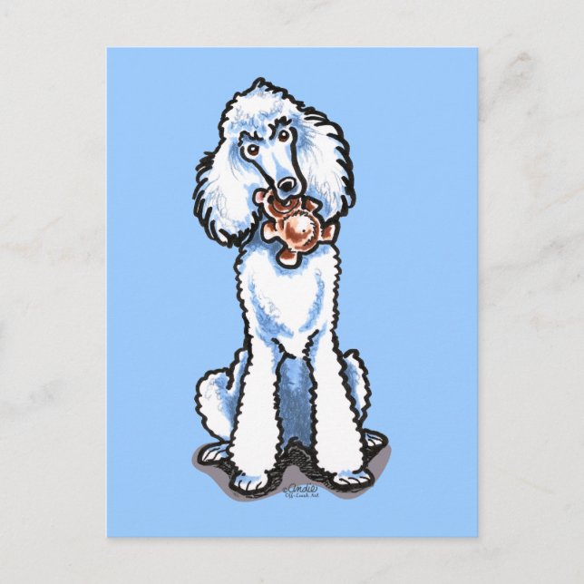 White Standard Poodle Teddy Bear Postcard (Front)