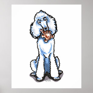 White Standard Poodle Teddy Bear Poster