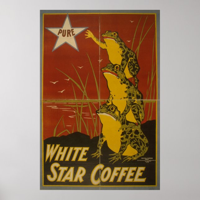 White Star Coffee Vintage Frog Poster  (Front)