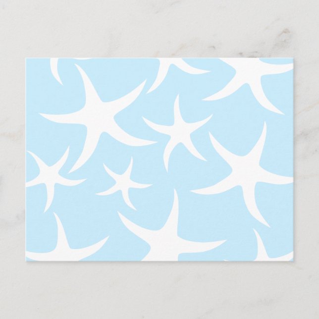 White Starfish Pattern on Light Blue. Postcard (Front)