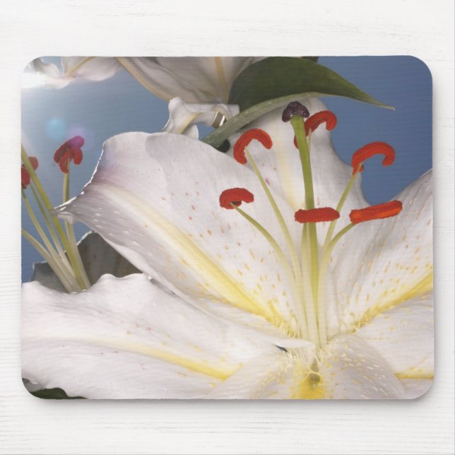 White stargazer lilies (Lilium orientalis), Mouse Pad (Front)