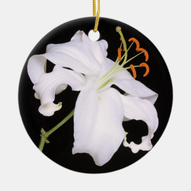 White Stargazer Lily Ceramic Tree Decoration (Front)