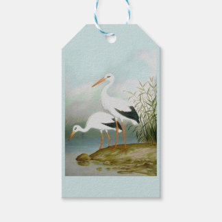 White stork, Bird Illustrations Gift Tags