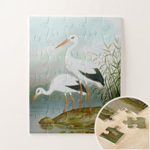White stork, Bird Illustrations Jigsaw Puzzle