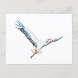 White stork flying   postcard