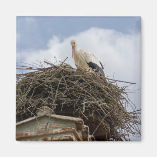 white stork in the nest magnet