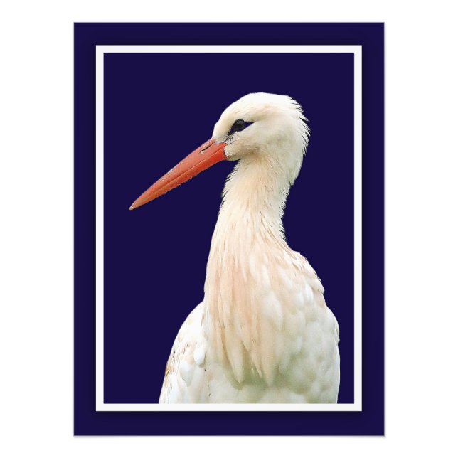 White Stork Photo Wall Art (Front)