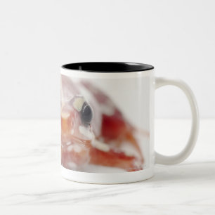 white-striped poison dart frog (epipedobates Two-Tone coffee mug