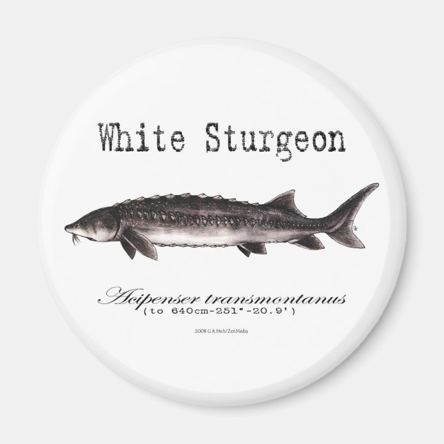White Sturgeon Titled items Magnet (Front)