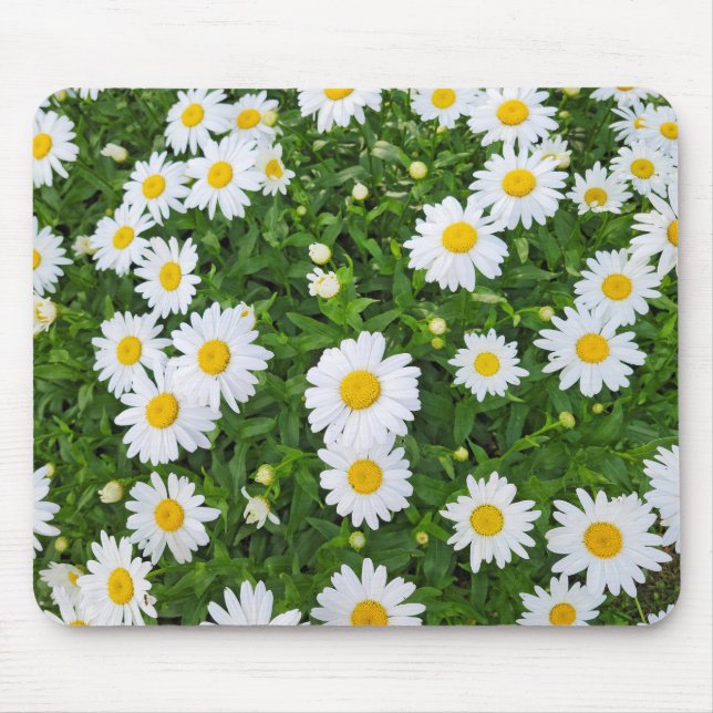 White Summer Daisy Garden Mouse Pad (Front)