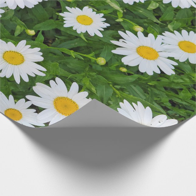 White Summer Daisy Garden Wrapping Paper (Corner)