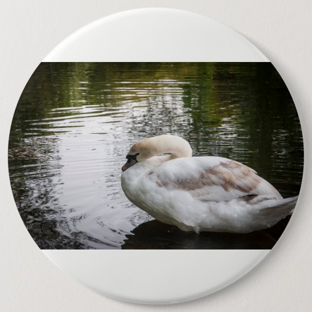 White swan 6 cm round badge (Front)
