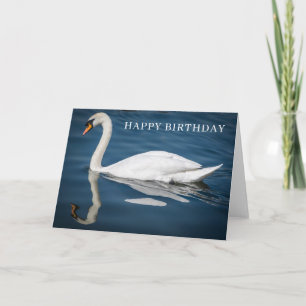White swan and blue water birthday card