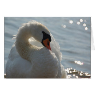 White Swan Card