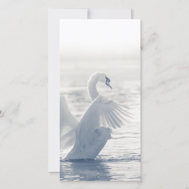 White Swan Card (Front)
