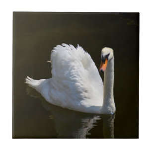 White swan ceramic tile
