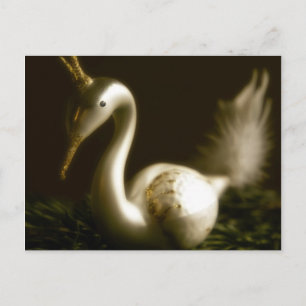 White Swan • Christmas Postcard