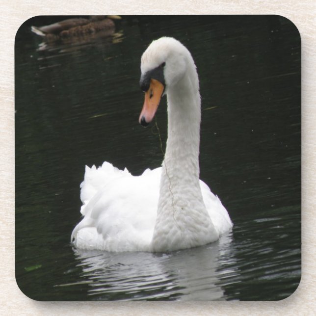 White Swan Cork Coaster (Front)