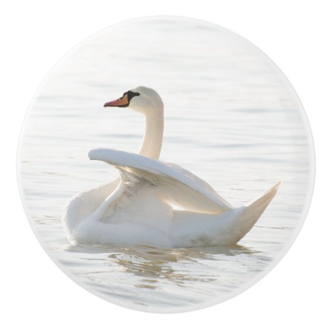 White swan Cygnus Ceramic Knob (Front)