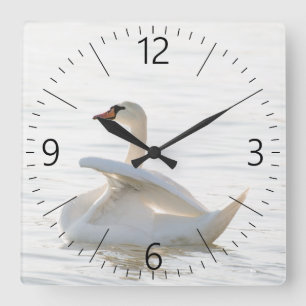 White swan Cygnus Square Wall Clock