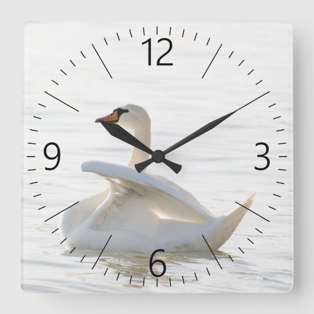 White swan Cygnus Square Wall Clock (Front)