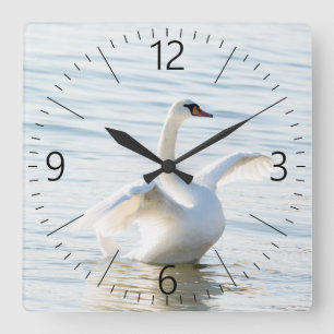 White swan Cygnus Square Wall Clock