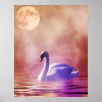 White Swan floating on a misty lake