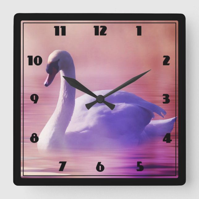 White Swan floating on a misty lake Square Wall Clock (Front)