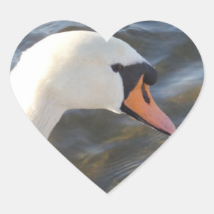 White Swan Heart Sticker