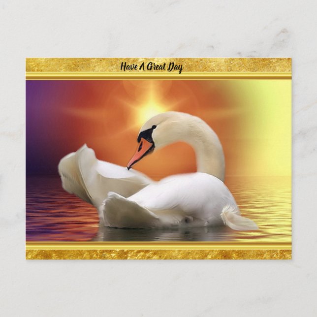 White Swan in a lake with a orange gold sunset Postcard (Front)