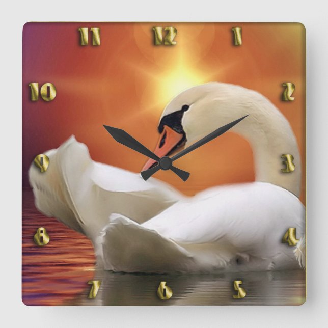 White Swan in a lake with a orange gold sunset  Square Wall Clock (Front)