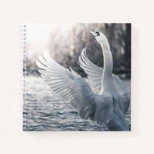 White Swan Nature Photograph Notebook