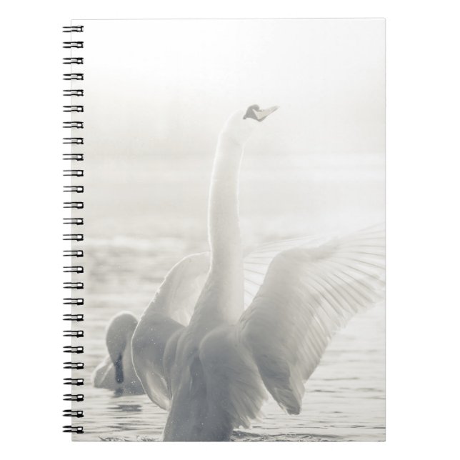 White Swan Notebook (Front)