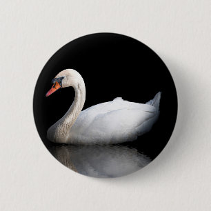 White swan on black 6 cm round badge